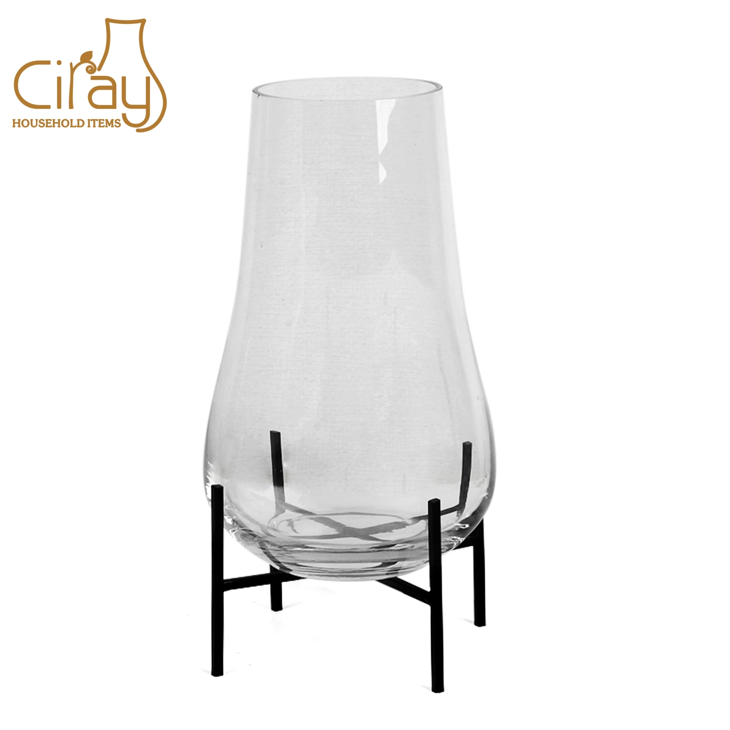 New Shape Glass Vase Flower Pot with Metal Stand for Decoration