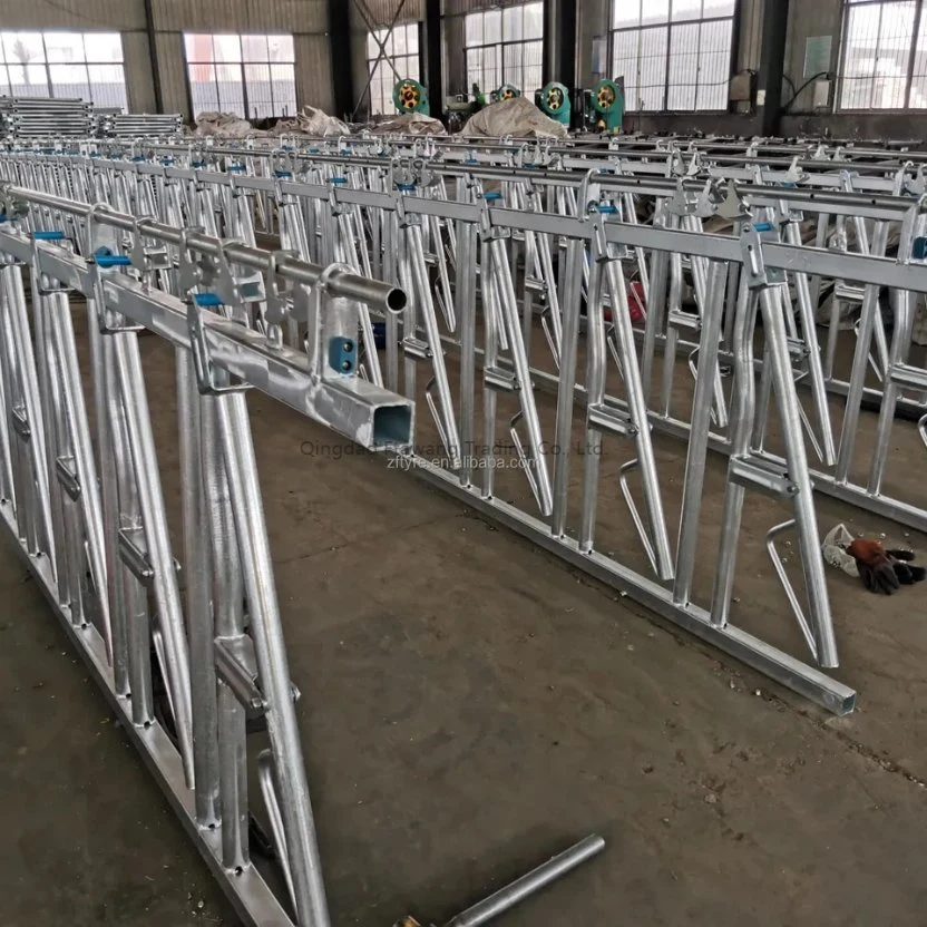 Factory Price Galvanized Cattle/Cow Farm Equipment for Headlock