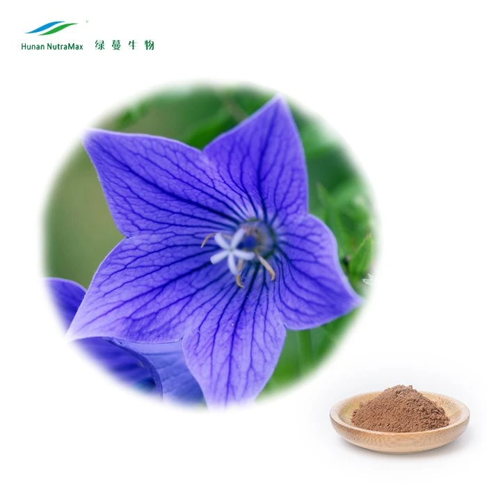 Platydodon Grandiflorum Powder 4: 1~20: 1 Radix Platycodi Extract