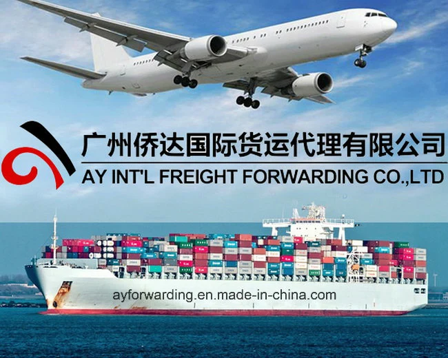 Professional Shipping From China to New Guinea by Air