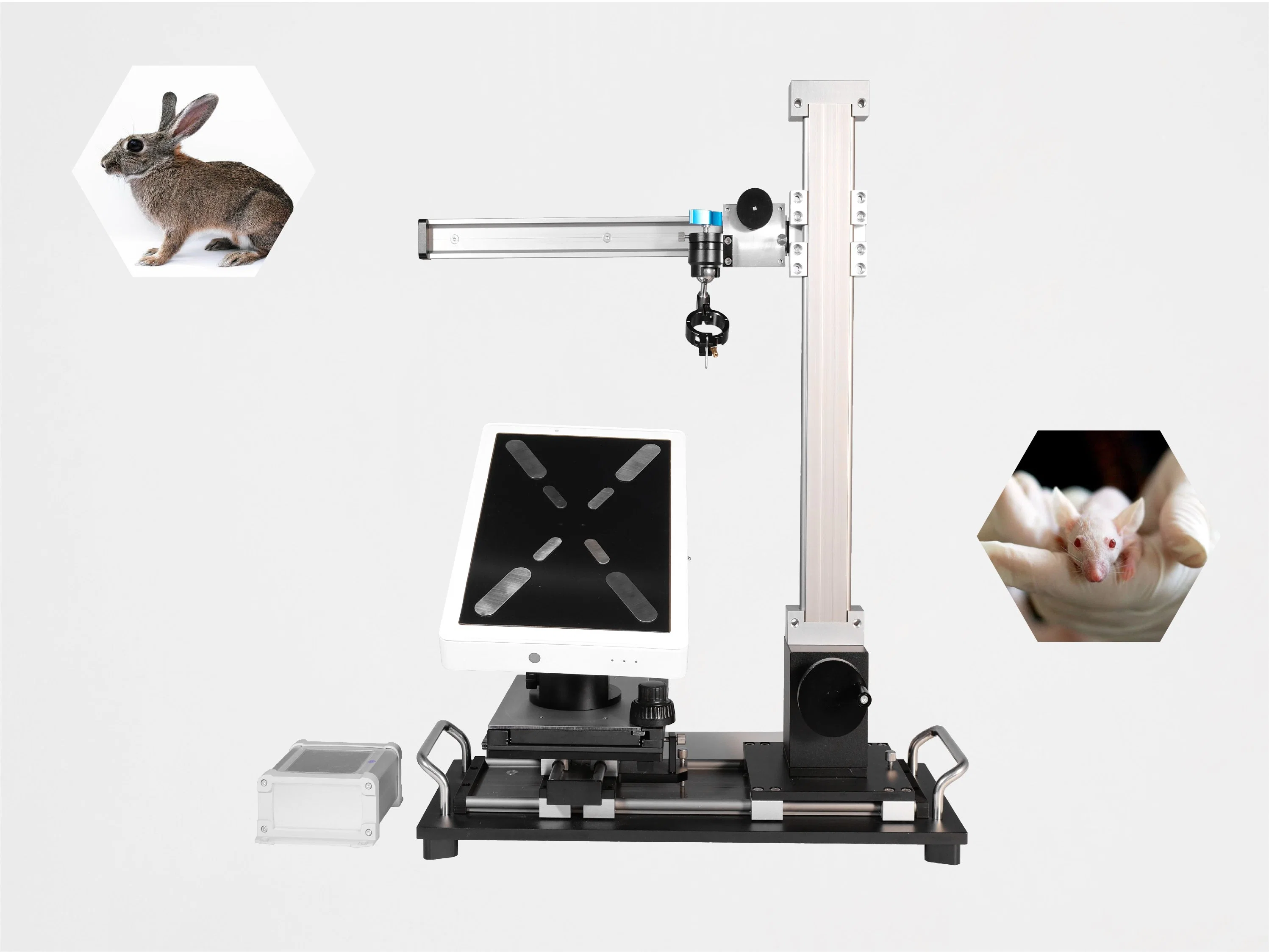 Pw Mode Portable Ultrasound Scanner for Animal Research