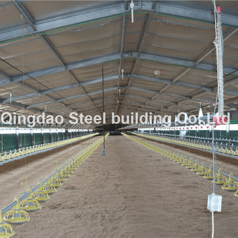 Prefabricated Steel Structure Poultry Farm Animal Husbandry Farm Building