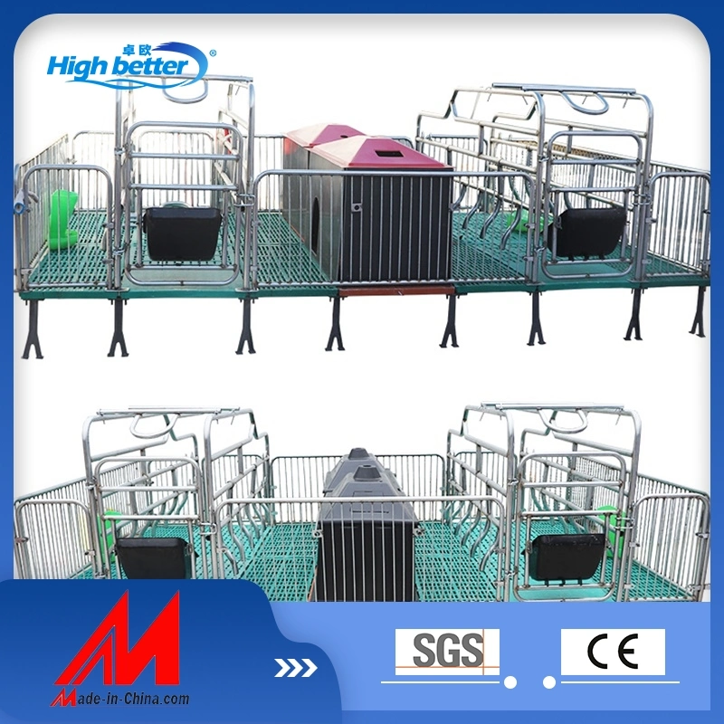 Agricultural Machinery Pig House Farm Equipment Customized Galvanized Pig Farrowing Bed