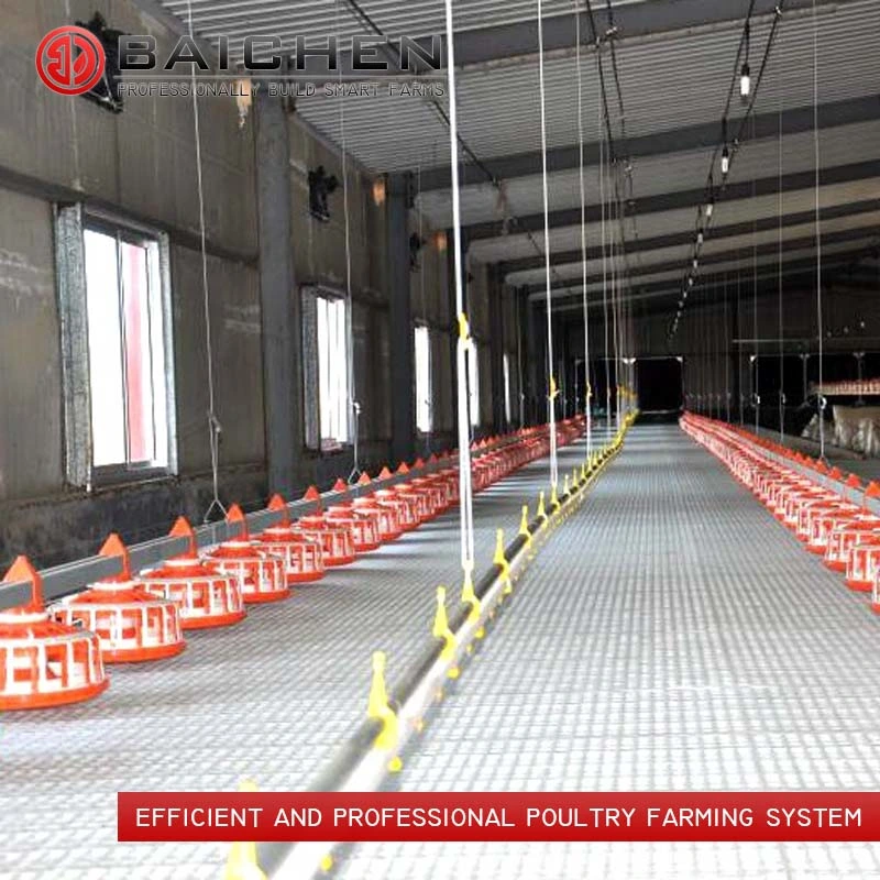 Chicken Raising Equipment Broiler Floor Raising System