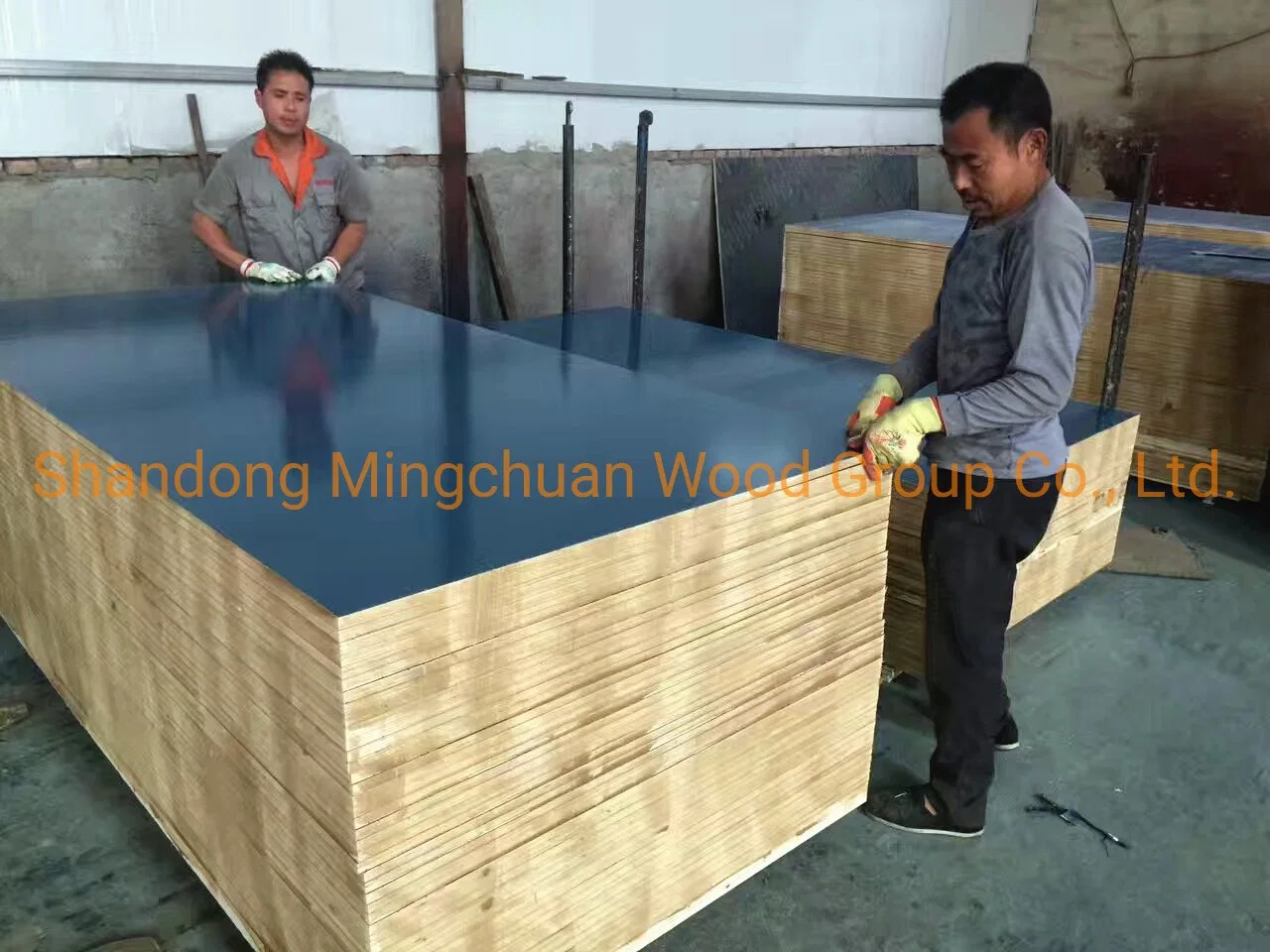 PVC Film Waterproof Plywood for Construction Plastic Film Faced Plywood