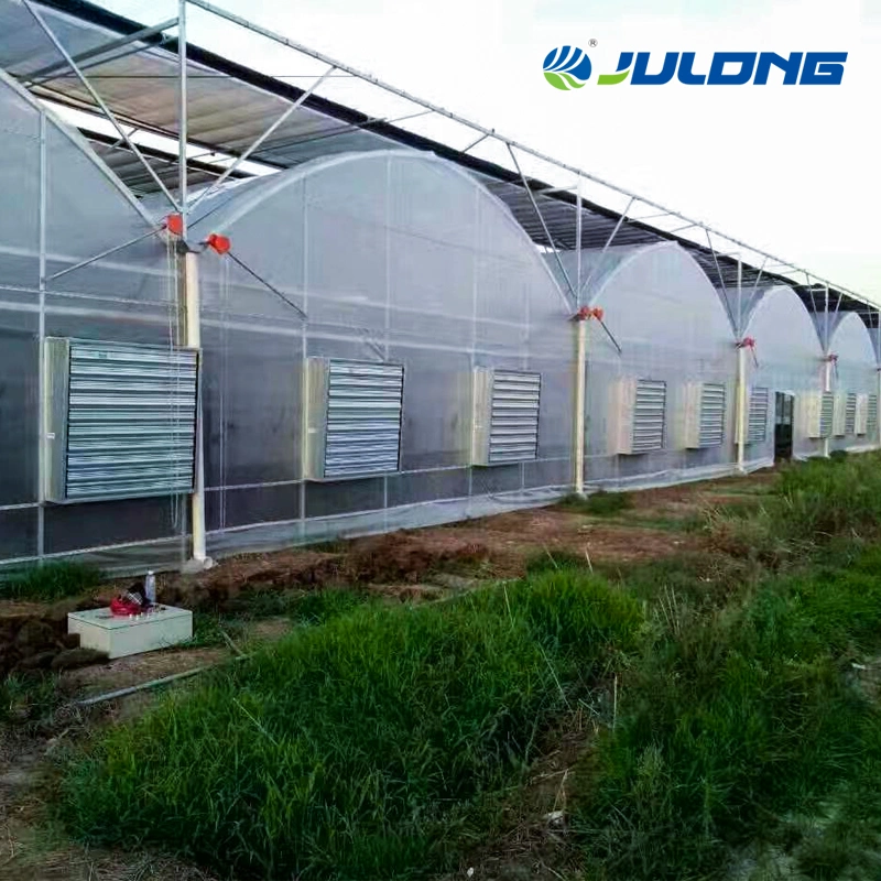 Commercial Greenhouse Multi Span Tunnel Plastic Film Greenhouses con Hydroponic Sistema de crecimiento utilizado Tomate/Pepper/Cucumber creciendo