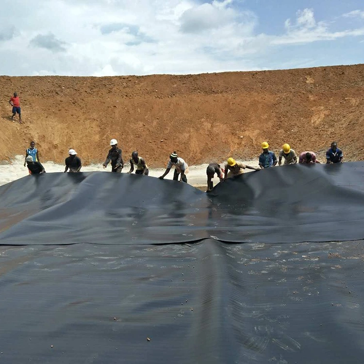 Geomembrana HDPE resistente al agua materiales de construcción para la granja de la Sal