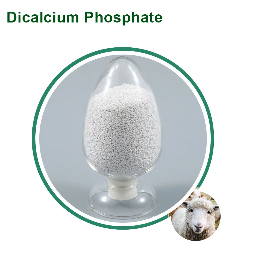 Le phosphate dicalcique qualité alimentation animale (DCP poudre 18 %) pour le poulet avec fami-QS