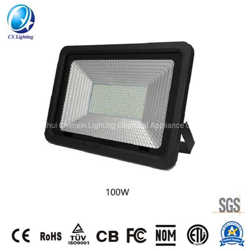 Europe Stocked 30W LED Flood Light Projector