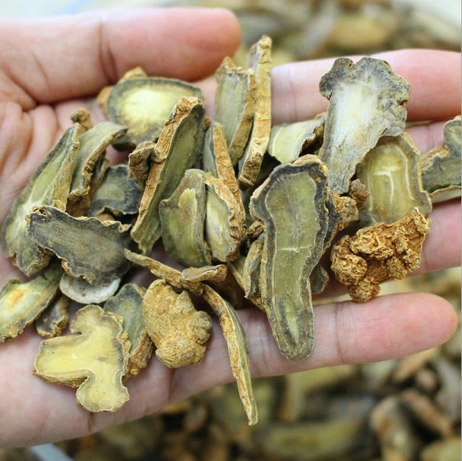 Сан Ци Pseudo-Ginseng Panax Notoginseng коренных