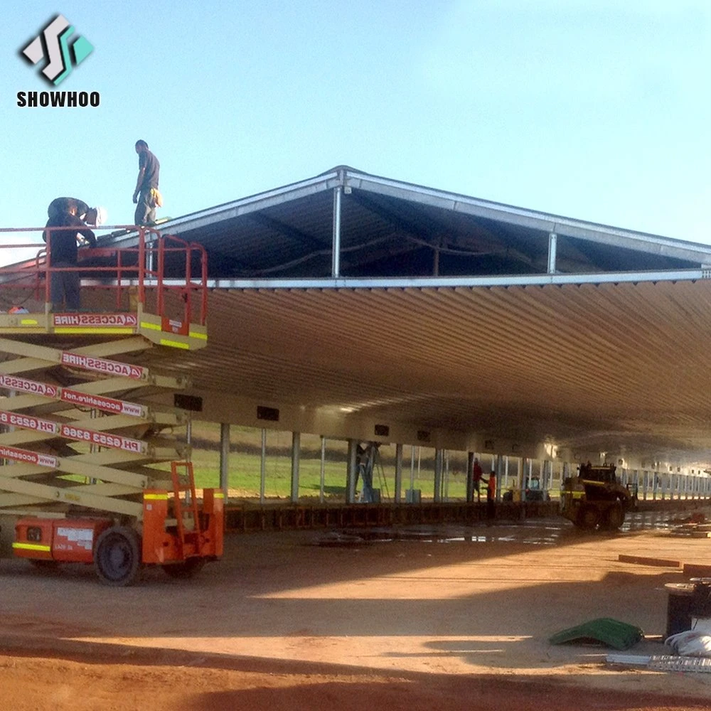 Casas de la cría de aves de corral pollo galpón Estructura de acero para incubar