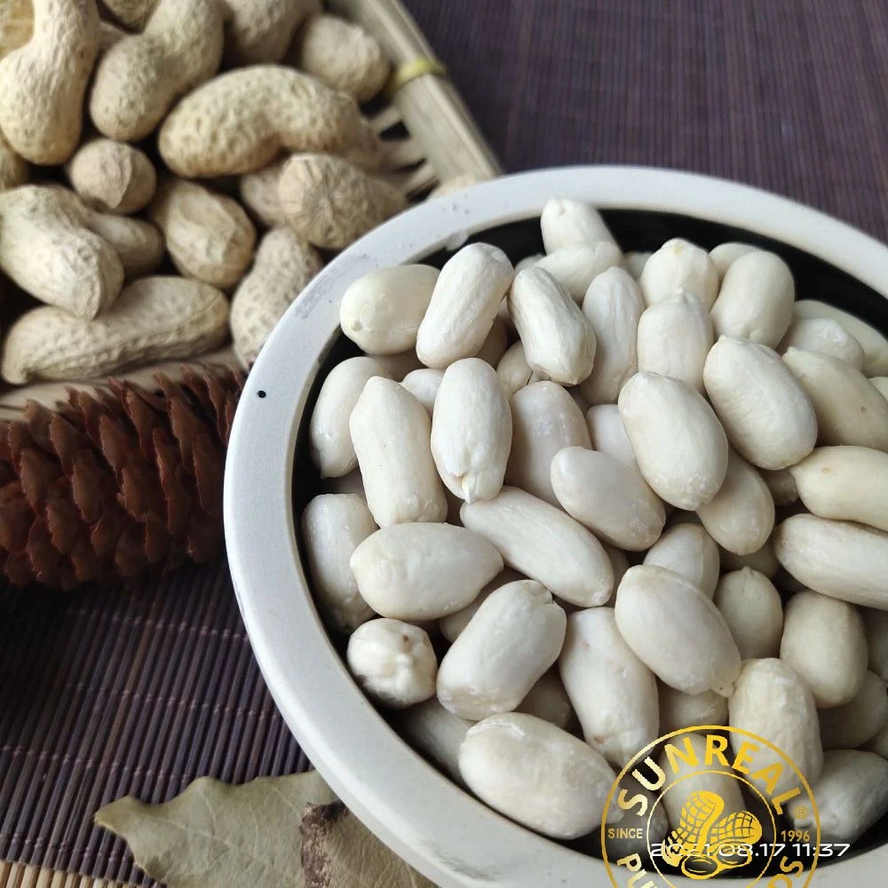 Pukee/Raw Blanched Peanut Kernels/Virginia/Quality Assurance/Best Materials