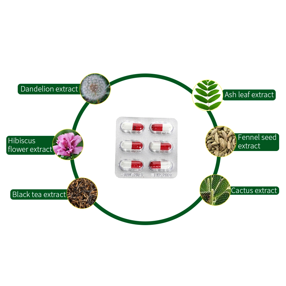 Fatzorb Supres apetito grasa quemada Cápsula de adelgazamiento rápido Natural Max Cápsula adelgazante