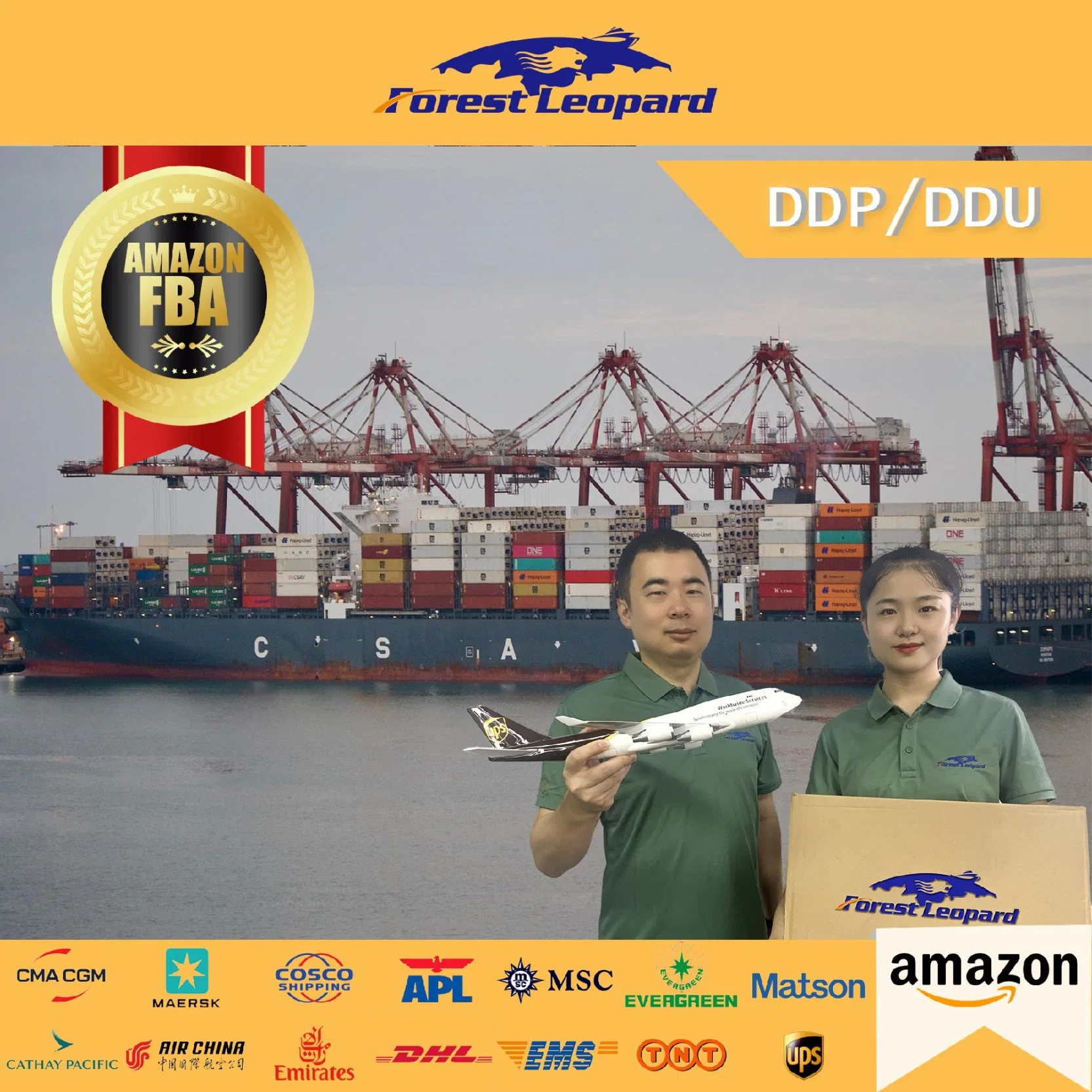 Tarifs de fret maritime des transitaires DDP professionnels de Chine à Amazon Expédié par Amazon aux États-Unis