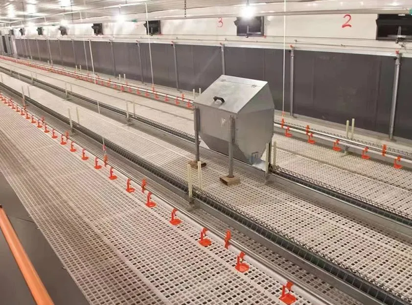 Diseño de equipos de sistemas de alimentación y agua potable para aves de corral Granjas