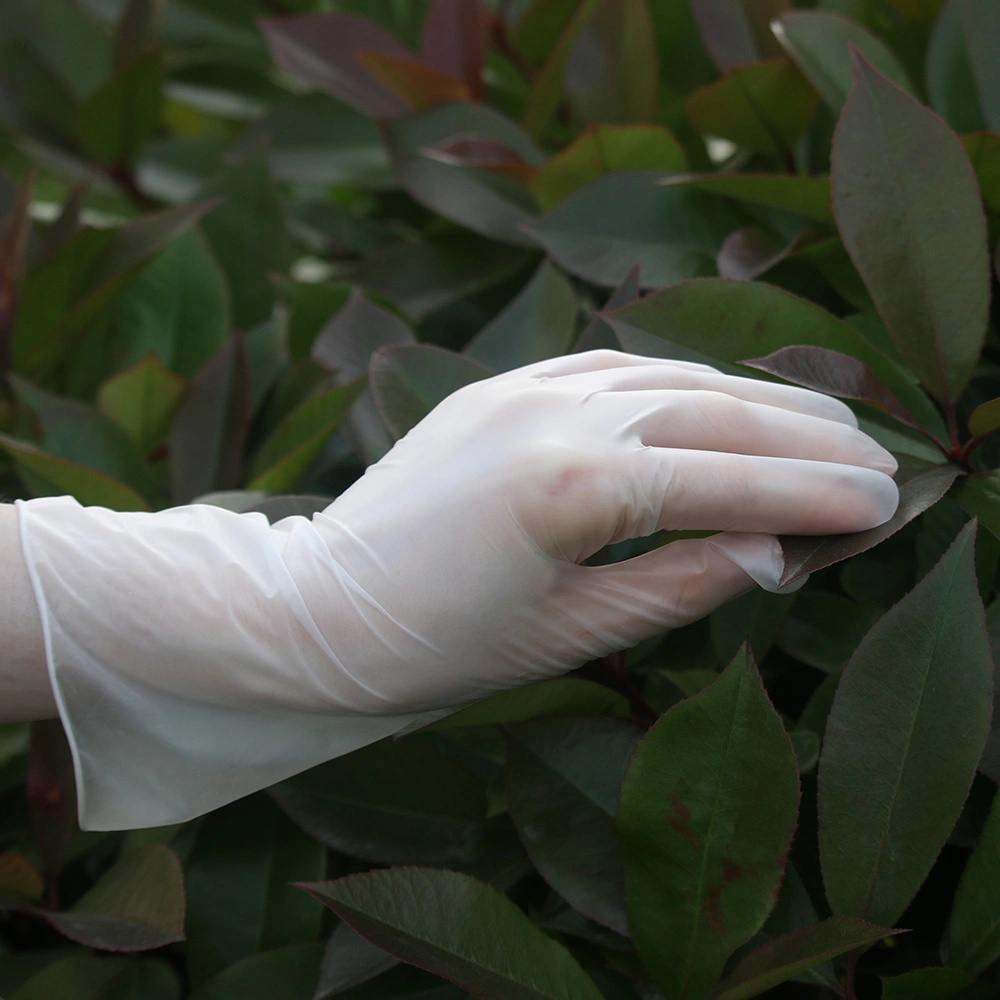 Lebensmitteltaugliche Einweg-Handschuhe Vinyl lebensmitteltaugliches PVC Wasserdichter Haushalt Puder-Freie Allergiefreie Küchenmechaniker Arbeitshandschuhe