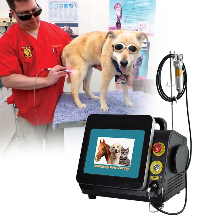 Portable non invasive Animal thérapie physique élimination de la douleur thérapie physique Laser 980nm