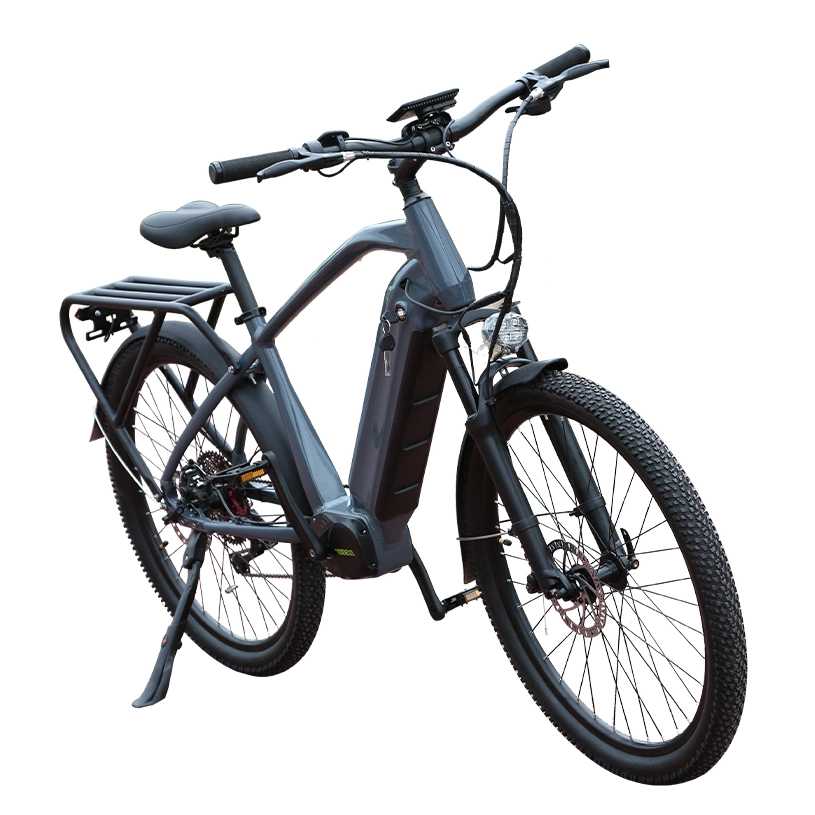 High Quality CE Approved 100-240V AC City Cycle off Road Electric E Bike
