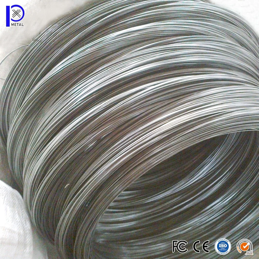 Pengxian Binding Wire China Lieferanten Binding Wire Elektro Verzinkter Draht Geglühter grüner PVC-beschichteter Metallverbindungsdraht