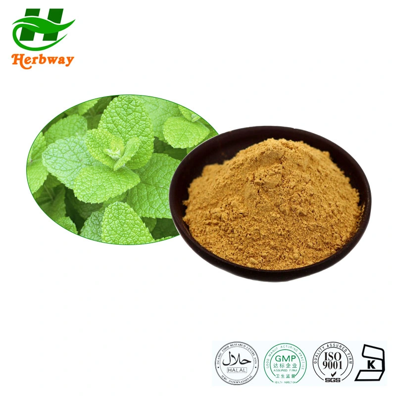 Plant Extract Wholesale/Supplier Price Food Grade Herba Menthae Heplocalycis Menthol Powder Peppermint Extract