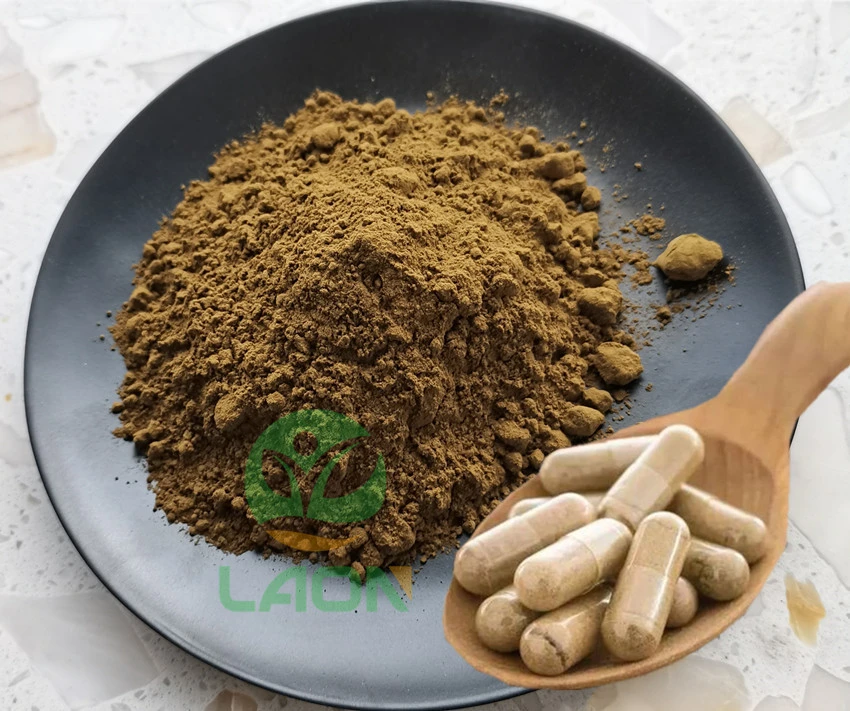 Health Supplement Damiana Leaf Extract Powder Damiana Powder