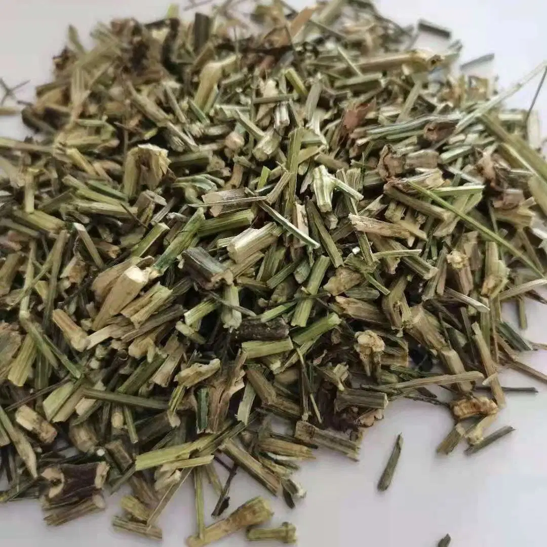 Vente en gros 100% Organic Natural Herbs Cut Andrographis paniculata Andrographis