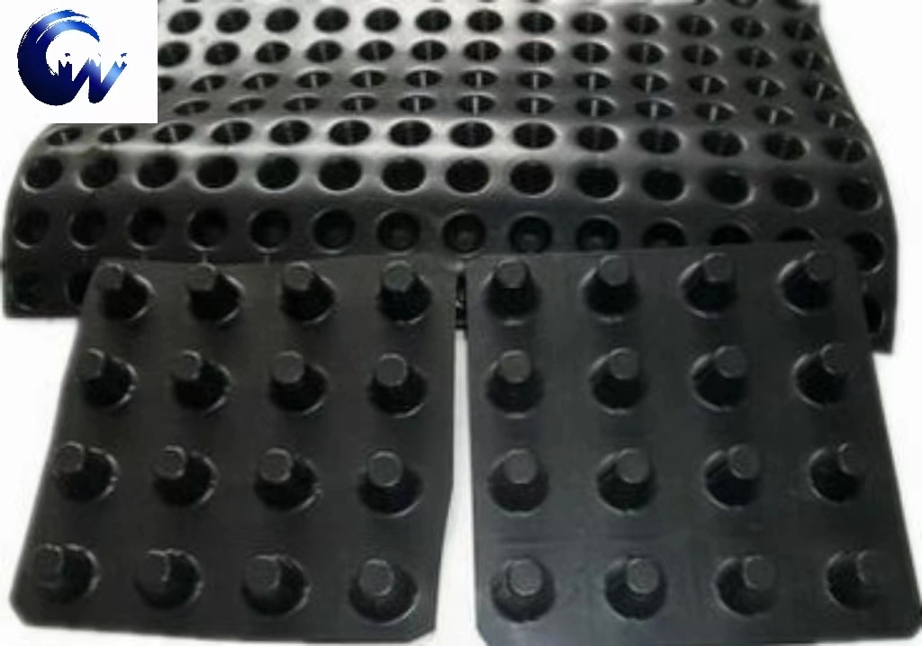 Draining Water Is Mainly Used for Park Roads Plastic Drainage Board