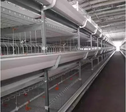 The Poultry Automatic Chicken Feeding System Breeding Equipment for Broiler Chicken Farm
