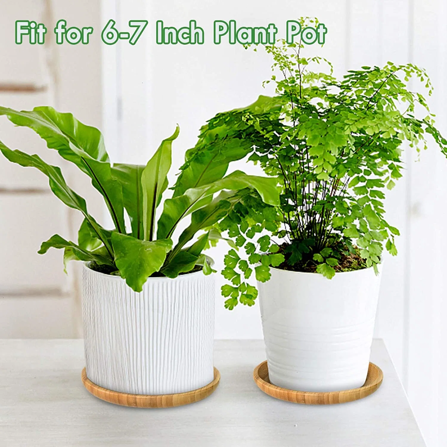 Wholesale/Supplier High Qualtiy Garden Plant Tray Bamboo Teacup Coaster