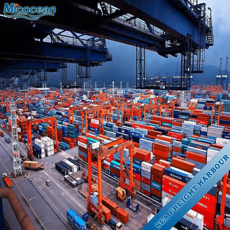 Fret maritime FCL/LCL Agent de transport professionnel de Chine au Maroc