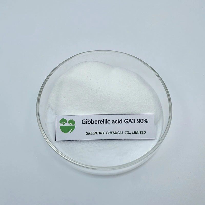 CAS No. 77-06-5 Plant Growth Regulator Gibberellin Gibberellic Ga3 90% Tc