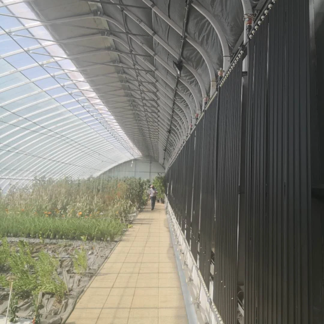 Fácil conexión de tornillo de instalación de tubo elíptico de efecto invernadero Solar con muro cortina de agua para las Verduras/semilla de cría o el tomate y pepino