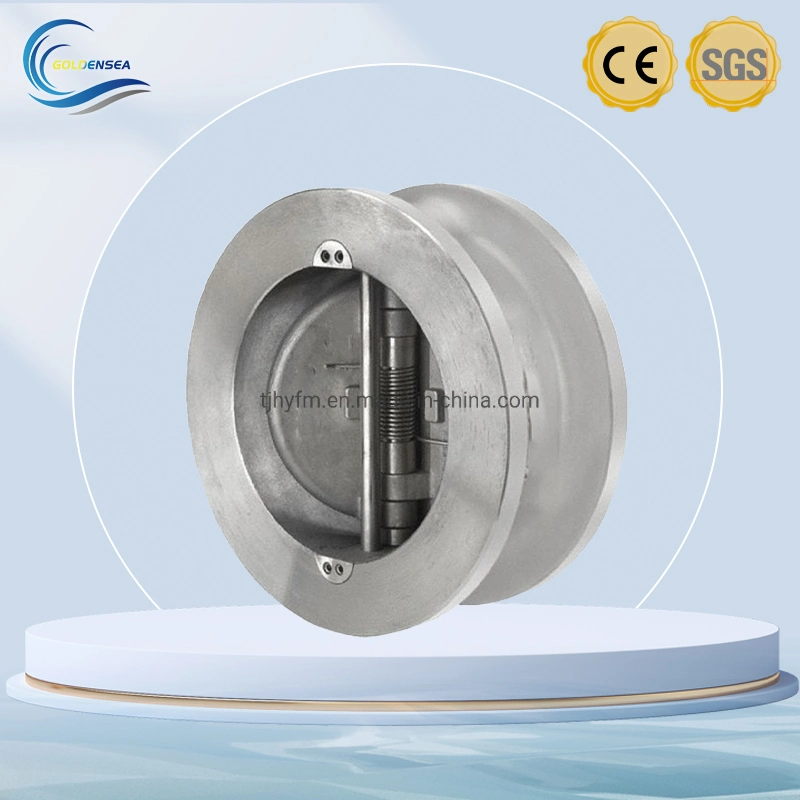 China Custom Hh44X Nozzle Slow Closing Stainless Steel Disc Check Valve with Counter Weight