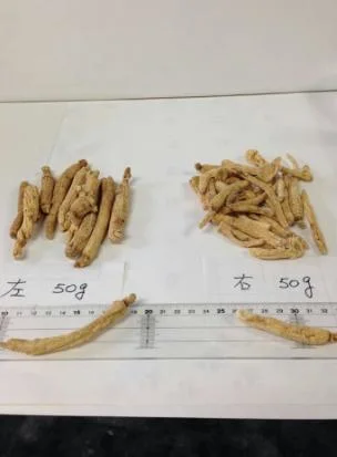 Ginseng Root Traditional China Herb