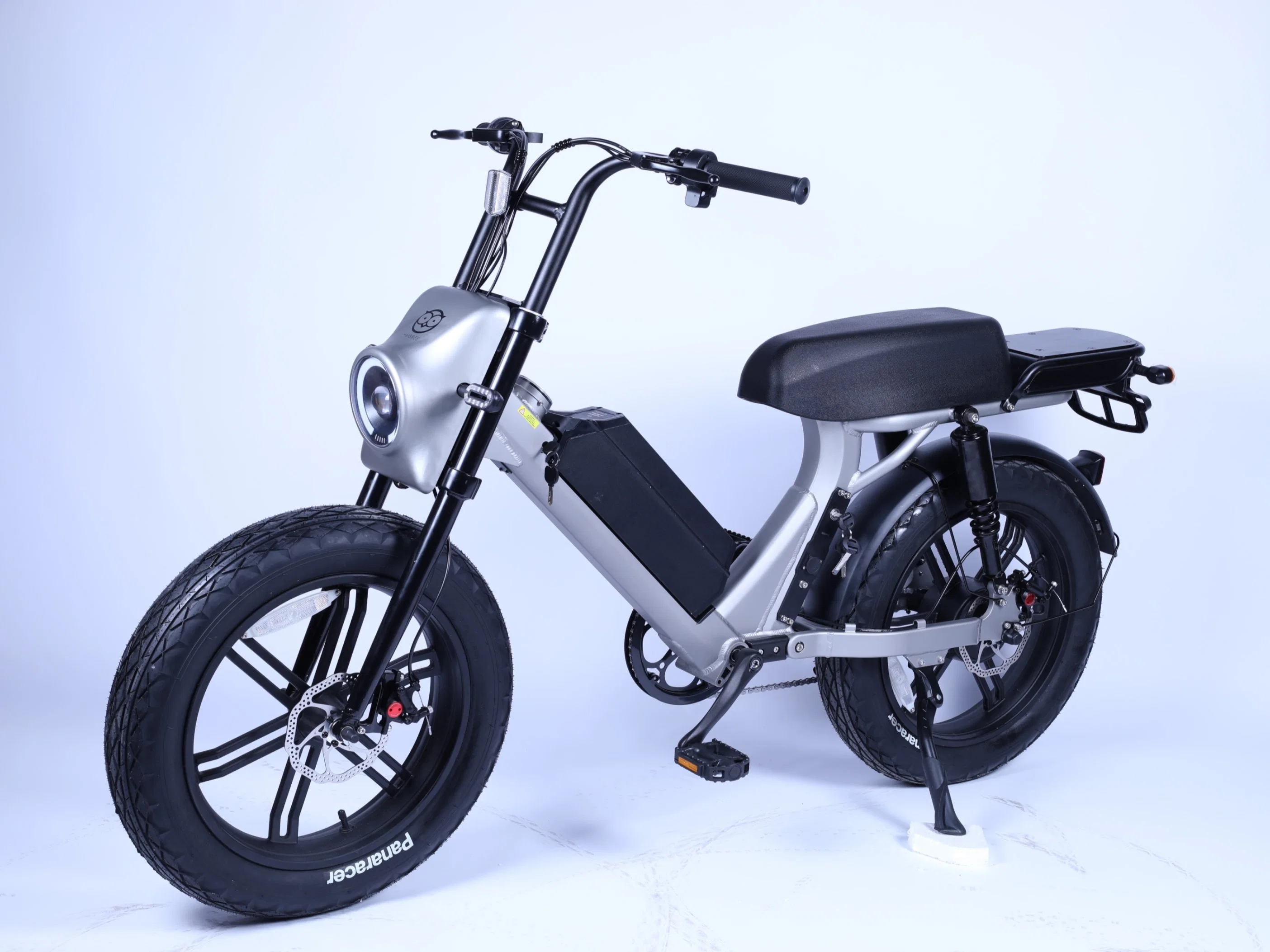 1000W Electric Scooter Motorbike Bicycle with Fat Tire