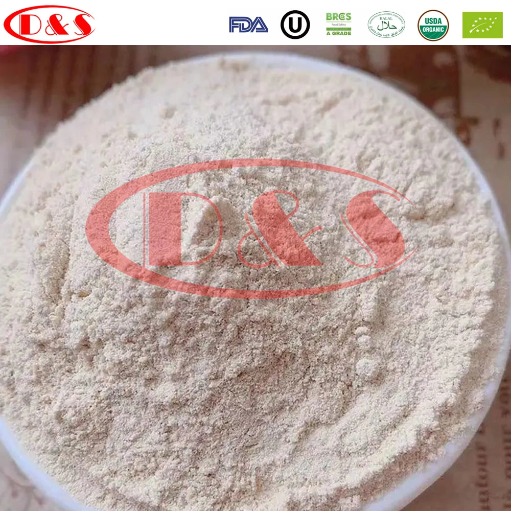 8-16/ 16-26/ 26-40/ 40-60/100-120 Mesh Dried Garlic Powder/Dehydrate Garlic Powder