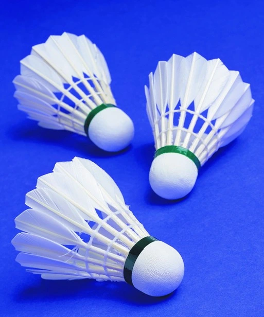 New Design Best Training Duck Feather Badminton Shuttlecock