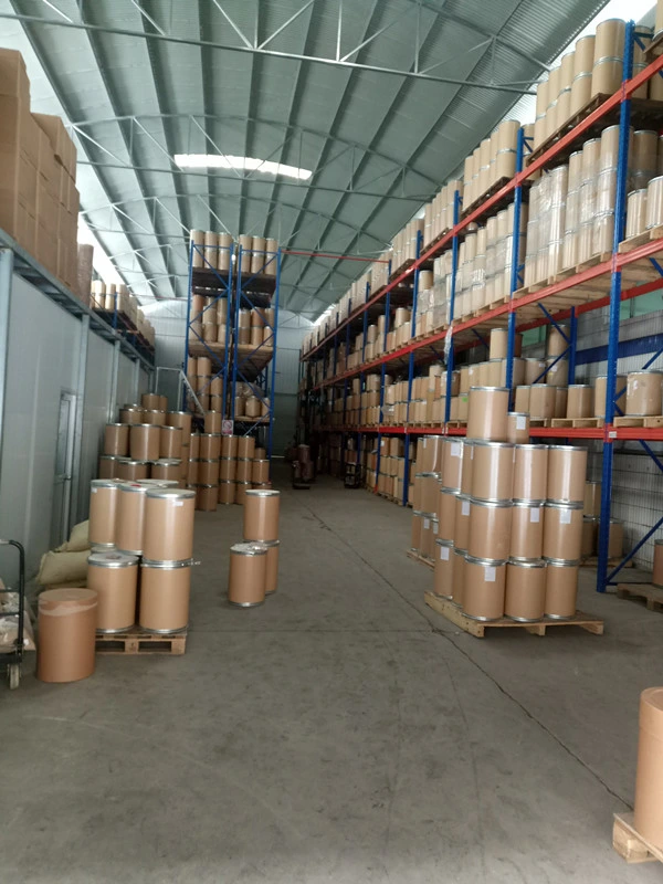 High Purity Chitosan Pharmaceutical Grade 9012-76-4