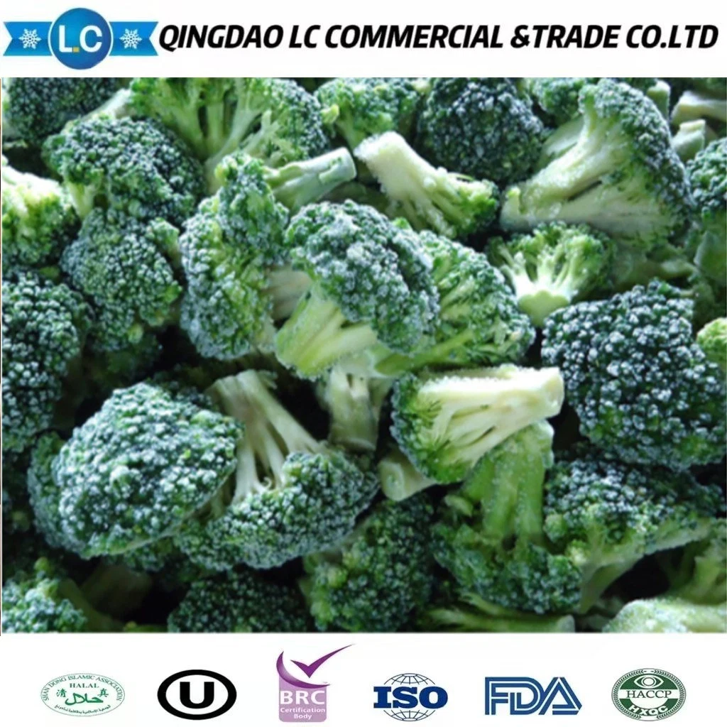 Nuevo cultivo de brócoli verde congelado IQF chino de alta calidad y bajo precio