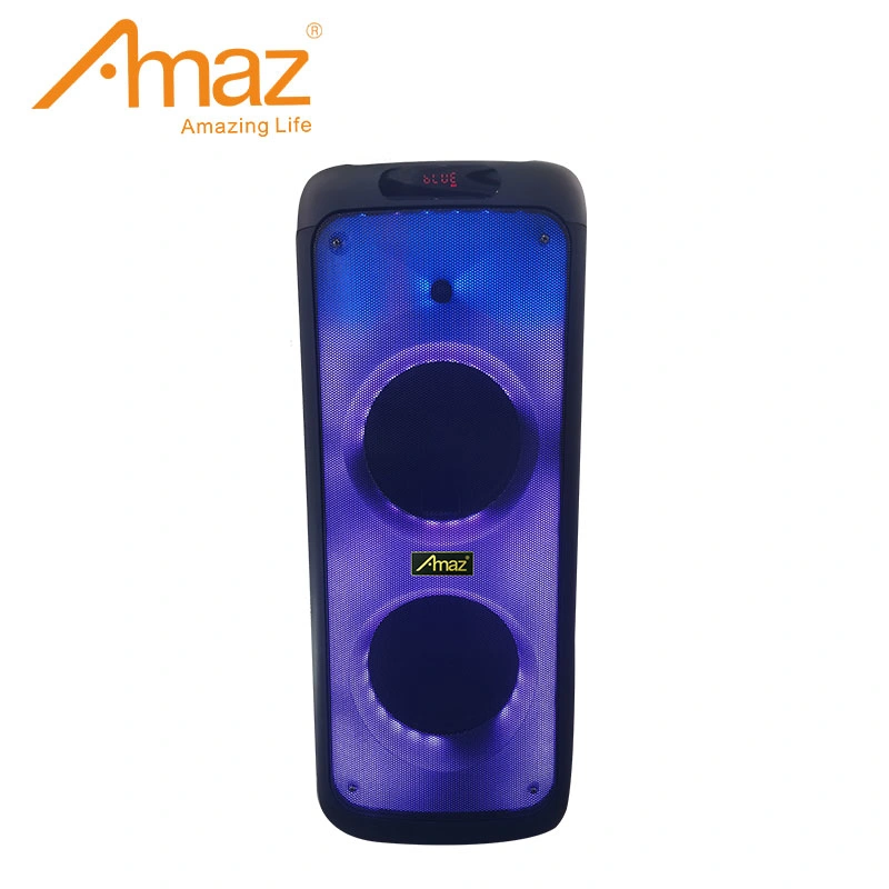 AMAZ Hot Sales Double boîtier audio 10 pouces Bluetooth portable Haut-parleur