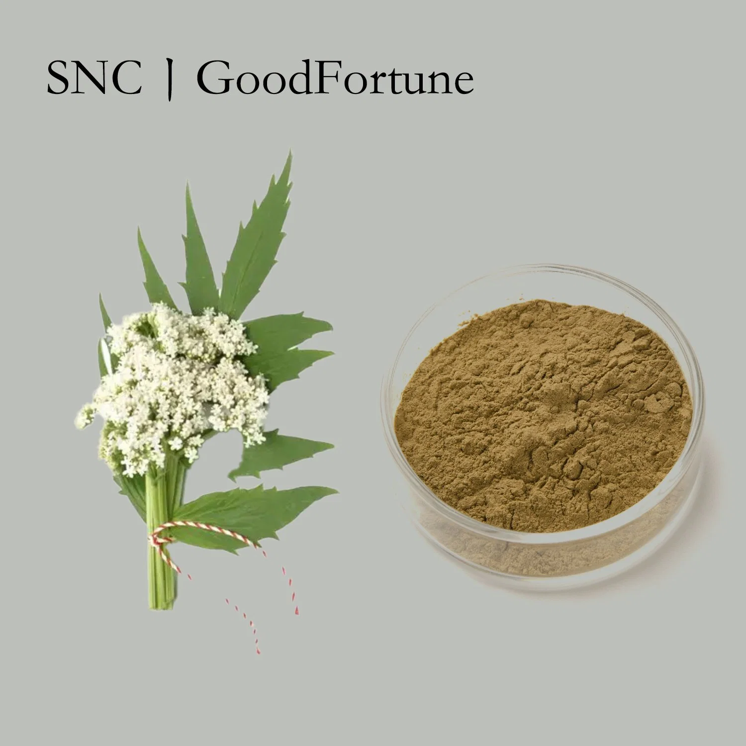 Herbal Food Supplements Plant Extract CAS. 8008-88-6 Valerian Extract 0.8%