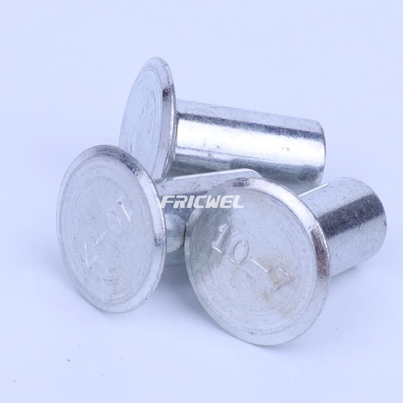 Fricwel Auto Parts White Zinc Rivet Tubular Rivet Clutch Disc Clutch Facing Rivet Flat Rivet Tubular Rivet Thread Rivet ISO/Ts16949 Certificate