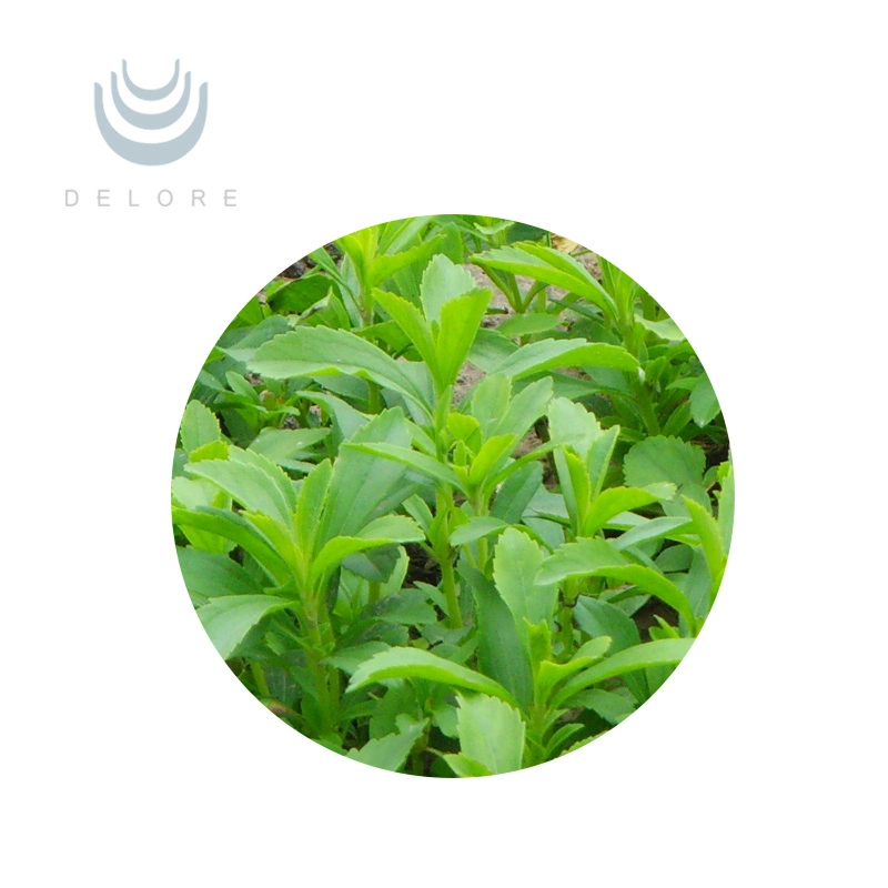 Factory Cost Price Rebaudioside a China Dried Leaves Stevia Liquid Stevia Tea Extract