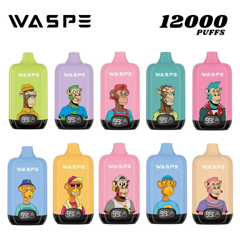 Waspe Digital Box 20ml eJuice 12000puffs einmal-Vape Pen mit Bildschirmanzeige