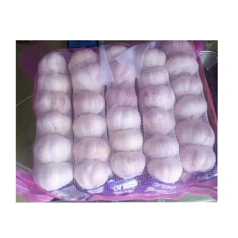 Fresh Garlic Garlicfresh 10kg Mesh Bag Fresh Garlic