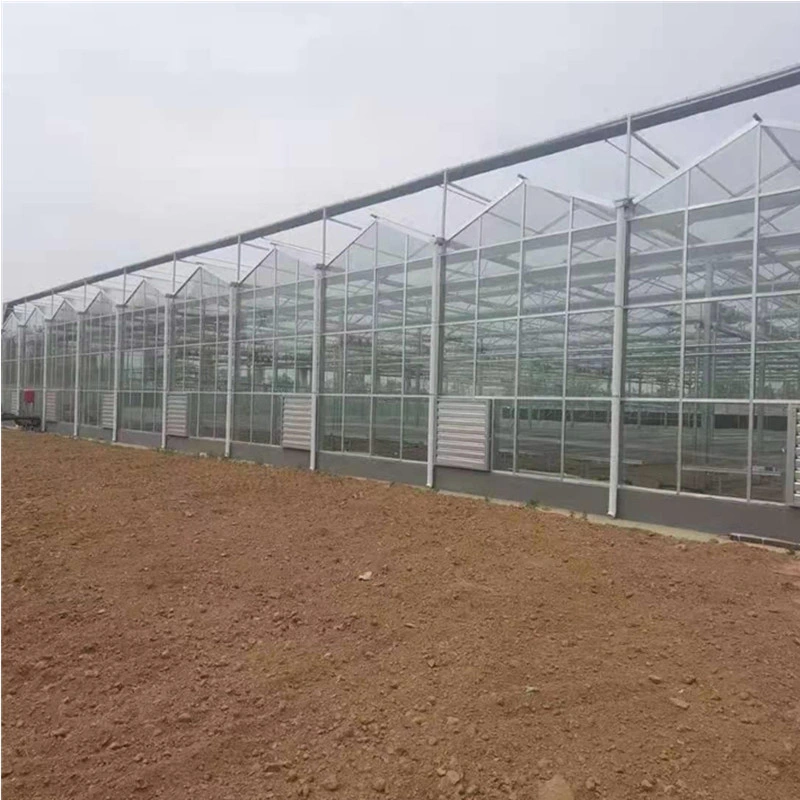 Polycarbonate Agricultural Galvanized Steel Frame Greenhouse with Hydroponic System