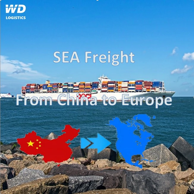 Shipping Agent From China to Costa Rica, Cuba /Sea Freight From Tianjin, Qingdao, Shanghai, Ningbo, Shenzhen to San Jose, Puerto Limon, Vita/Cabanas/Ceiba Hueca