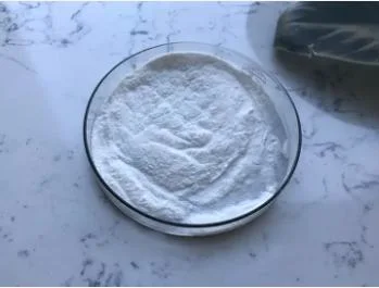 OEM Manufacturer Fermented Yam Probiotics Bulk Powder Active Probiotic