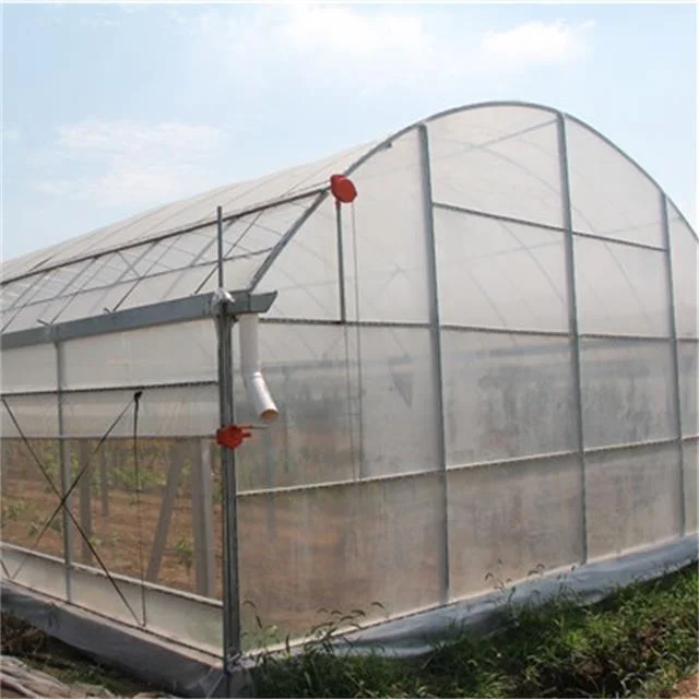 WMGH005 Multi-span polycarbonate green house vegetable greenhouse for tomato