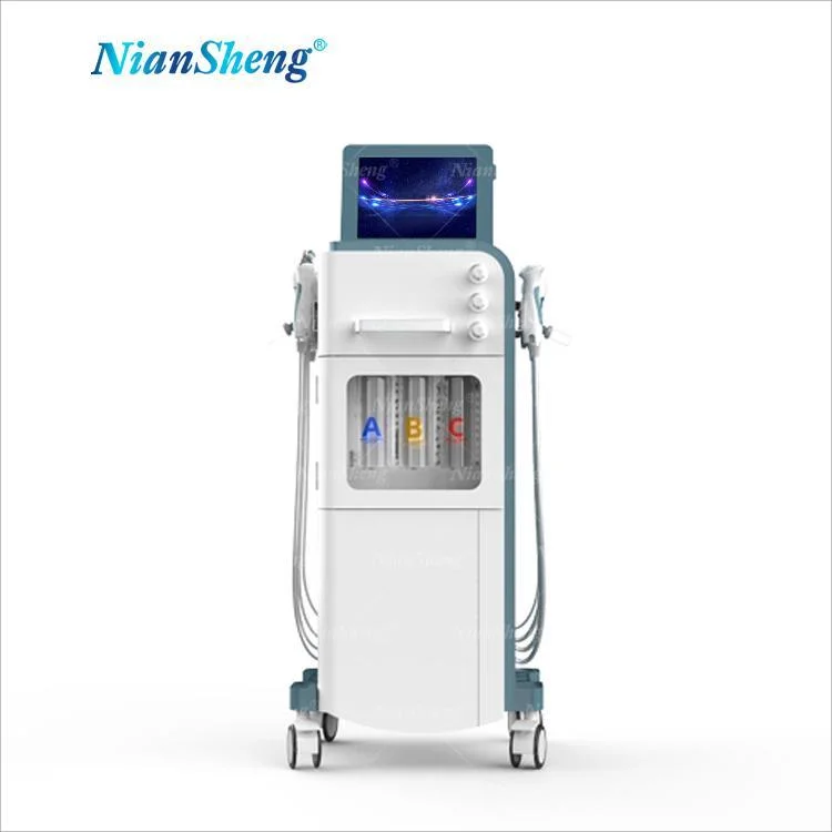 Niansheng 9 in 1 Skin Rejuvenation Beauty Equipment